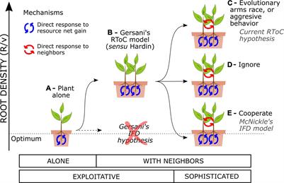 Root tragedy of the commons: Revisiting the mechanisms of a misunderstood theory